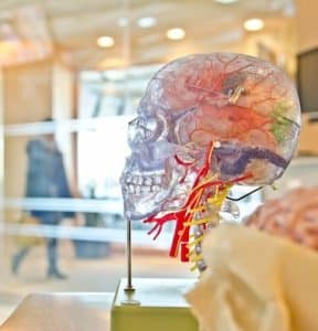 Neuropsychological Testing Boston
