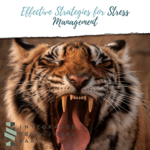 effective strategies for stress management